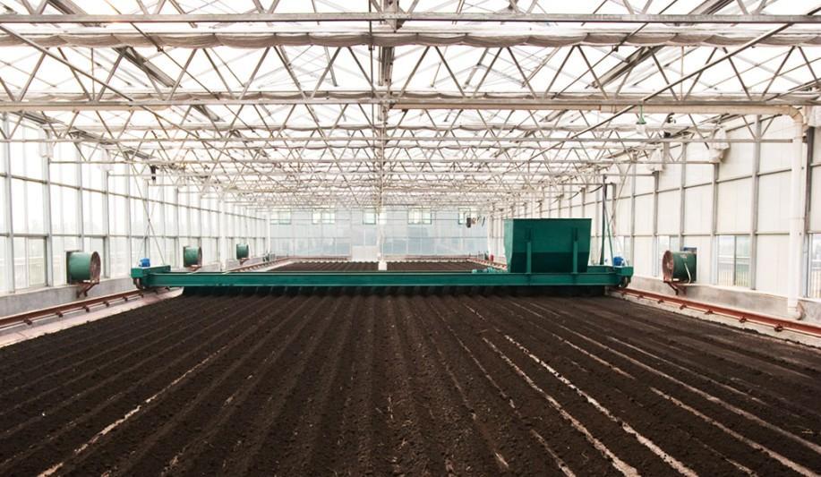 污水污泥 污水污泥