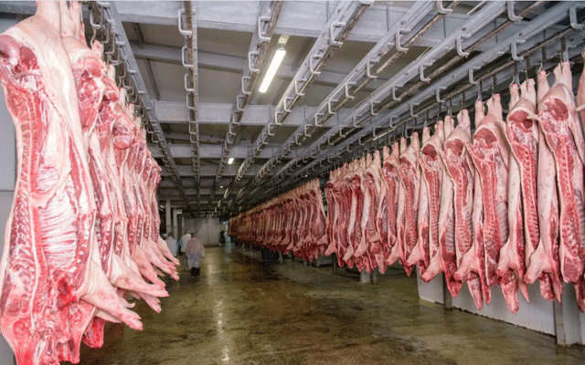 屠宰場除臭 屠宰場除臭