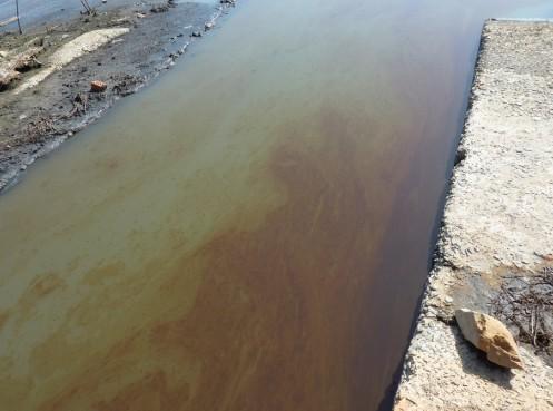 化工廢水除味 化工廢水除味