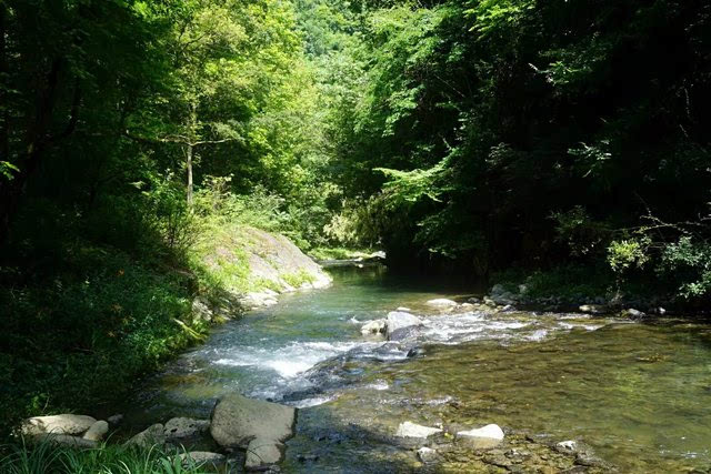 河底除臭藥 河底除臭藥