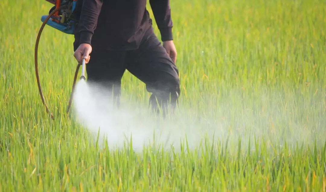 農藥除臭 農藥除臭