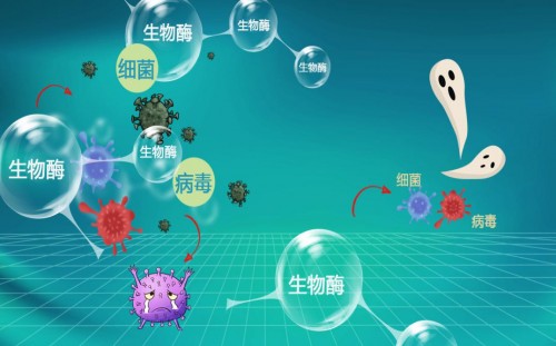 復合生物酶除臭 復合生物酶除臭