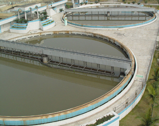 衛生紙廢水 衛生紙廢水